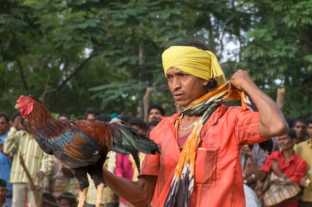 Joep van Gassel Urban